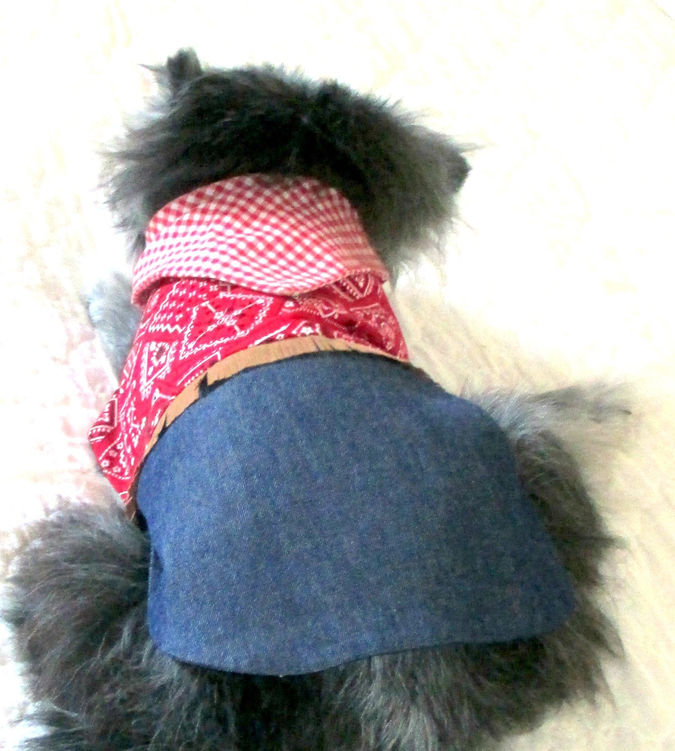 Little Dog's Cowgirl Dress with Bandanna Print Bodice, Fringe, Gingham Scarf and Indigo Denim Skirt