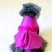 Berry Party Dress for Little Dogs or Cats - Made to Order Taffeta with Shabby Chic Rose Trim