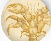 Crustaceans I, Vintage artwork on 10 inch Melamine Plate
