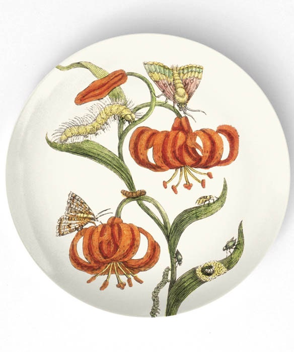Lily II-1600's botanical artwork - reproduced on 10 inch Melamine Plate with a softly aged off-white background