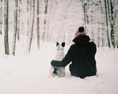 Snowy friends