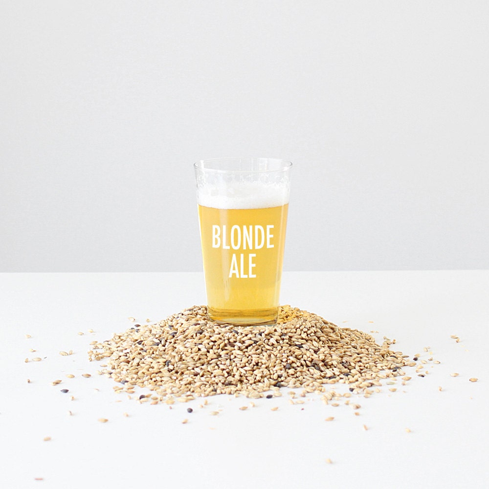 Blonde Ale 1 Gallon Beer Brewing Recipe Kit