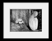 Sculpture titled "Curled Figures" - 5x7 Fine Art Photograph - Haliburton Sculpture Forest, ON, Canada - Home Decor, stone, statues, rock