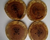 Large Spalted Oak Tree Branch Wooden Buttons. Knitting Supplies - set of 4 wood buttons