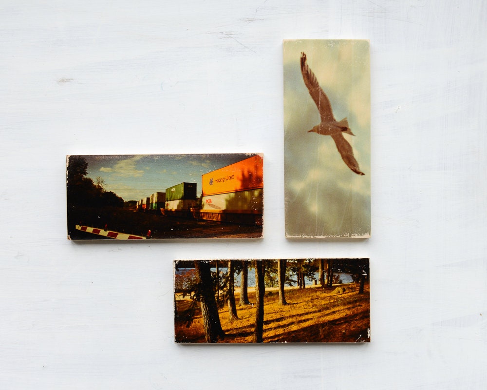 Seagull and Clouds Image Transfer on Wood - by Patrick Lajoie Fine Art Photography