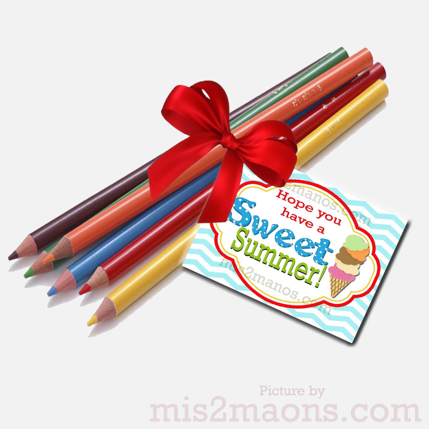 Summer School School Last Day of School Tags Digital  Instant Download SET of 6