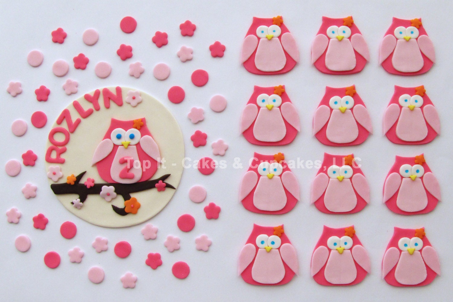 Fondant Cake, Cupcake Toppers - Owl Blossom Party Pack