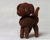 Chocolate Labrador Retriever
