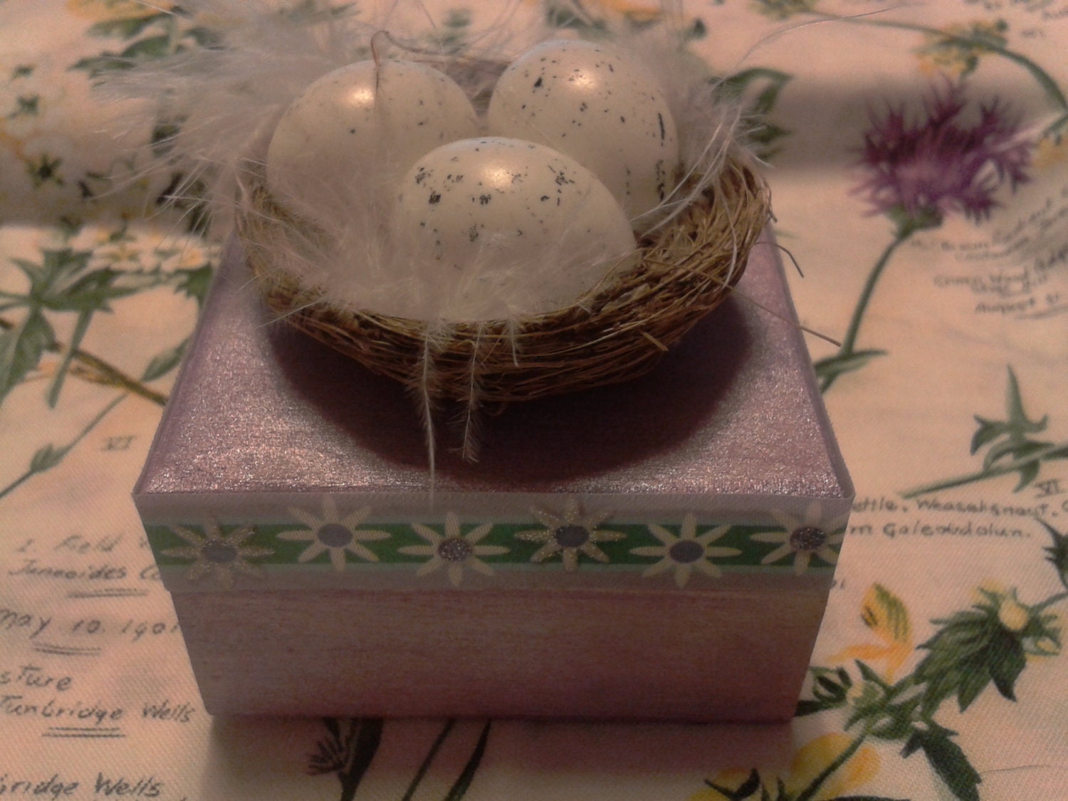 Bird's Nest box