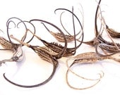 Devils Claws Seed Pods: Art & Craft Supplies, set of 15 Devil's Claws - DC0019