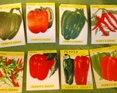 Set of 8 Vintage Seed Pack Labels, Peppers, colorful graphics