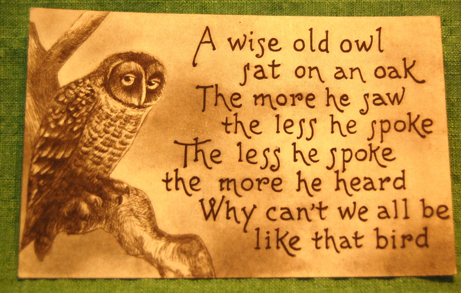 Vintage Wise Old Owl Postcard with Some Good Advice