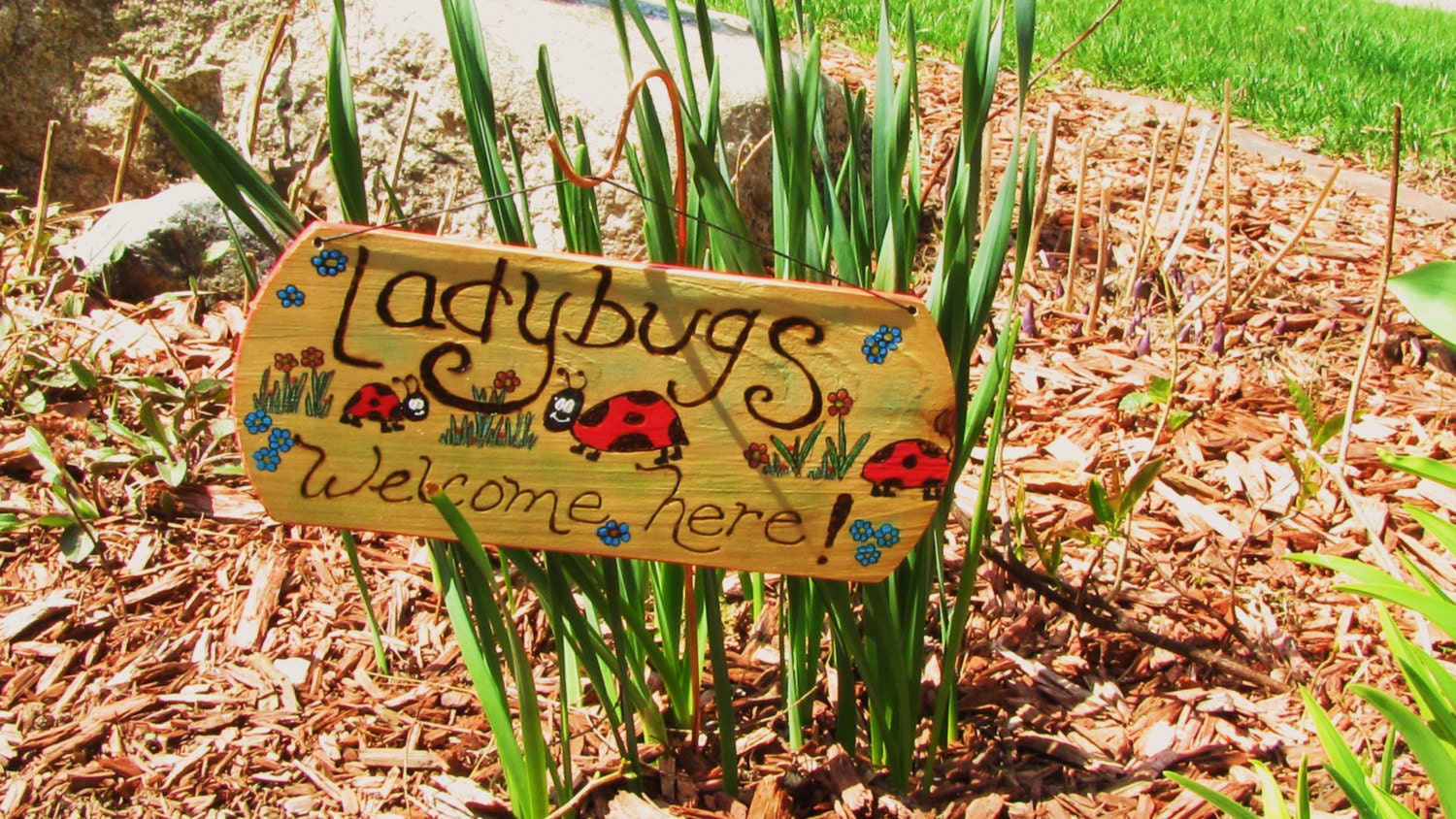 Wood Burned Whimsical Lady Bug Garden Sign