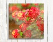 Canvas art, spring red flowers, 12"x12", free shipping