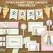Peter Rabbit, DIY Baby Shower, Printable Party Package with orange background, INSTANT DOWNLOAD digital file
