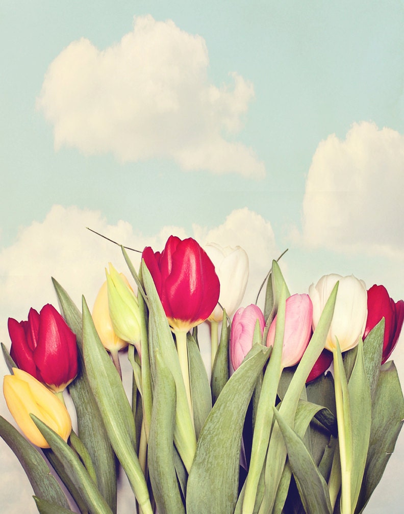 Tulips Photography - Printable - Download - Summer Photography - Flower - Art Print - Home Decor