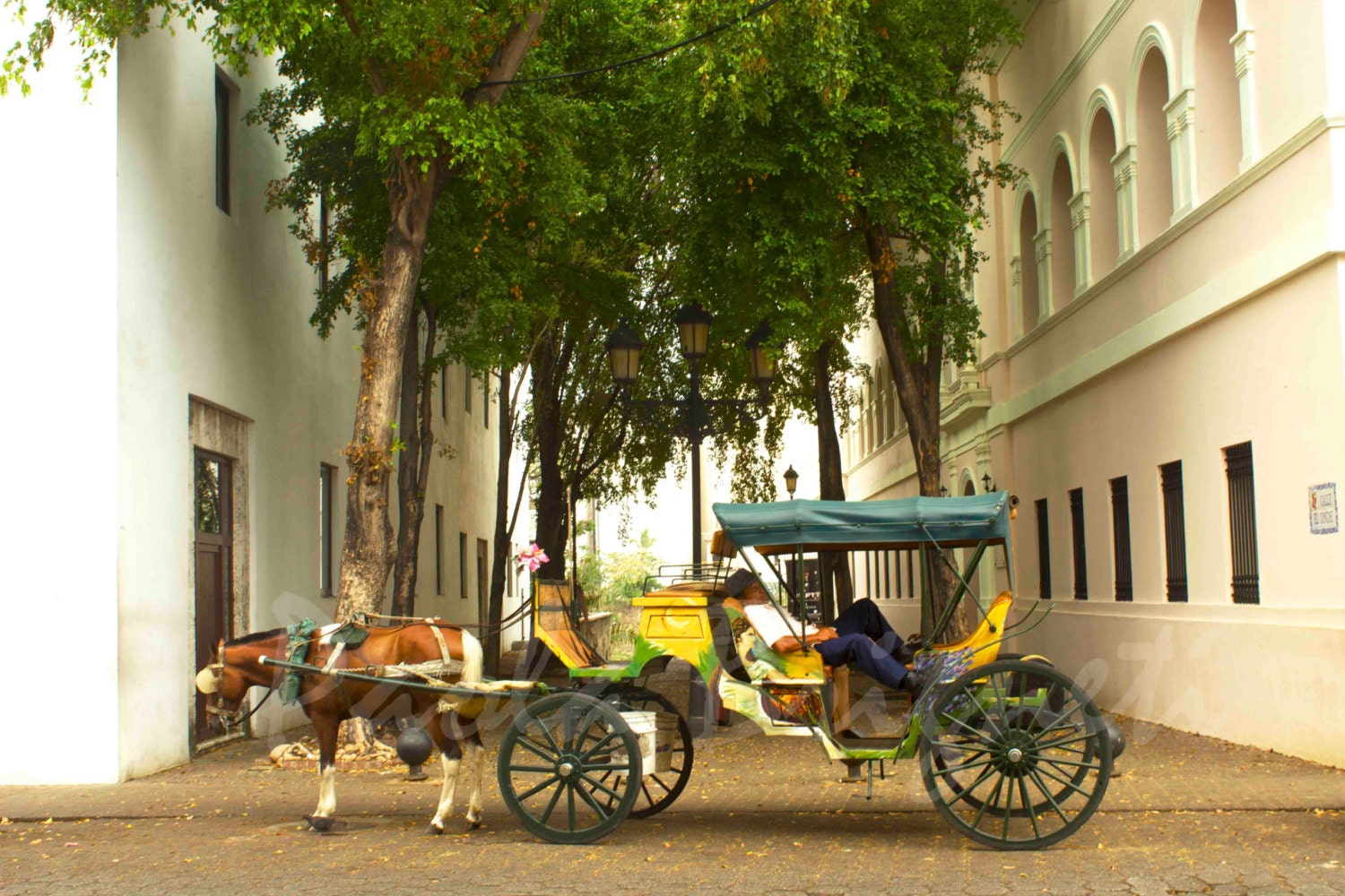 Travel Photography, Santo Domingo, Dominican Republic, Horse and Carriage, Yellow, Green, Vintage, Rustic