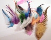 Mixed craft feathers wholesale lot 15 feathers