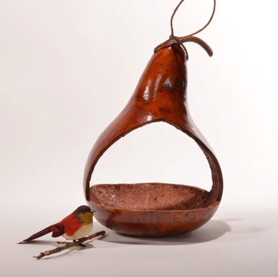 Natural gourd bird feeder decorative gourd art by EdwardsFarm