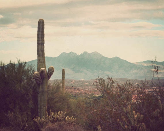 Southwest photography, vintage West, fine art travel photograph, desert landscape, soft pastels, Arizona print, 8x10 photo