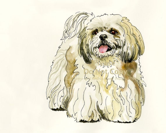 Shih Tzu Drawing in Pen & Ink with Watercolor Pet by WildFernFarm