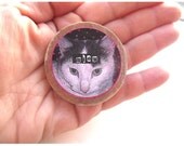Cat Badge / Pin / Brooch Face Miow Kitten Cats Humor Humorous Hipster Unusual Accessories