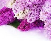 1/4oz Natural Lilac Perfume Oil, Fragrance Oil, Lilac Fragrance Oil, Lilac Perfume Oil, Lilac Scent