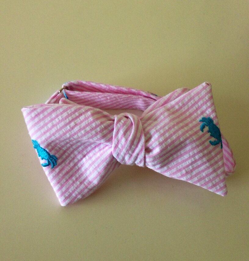 Pink Seersucker Embroidered Bow Tie