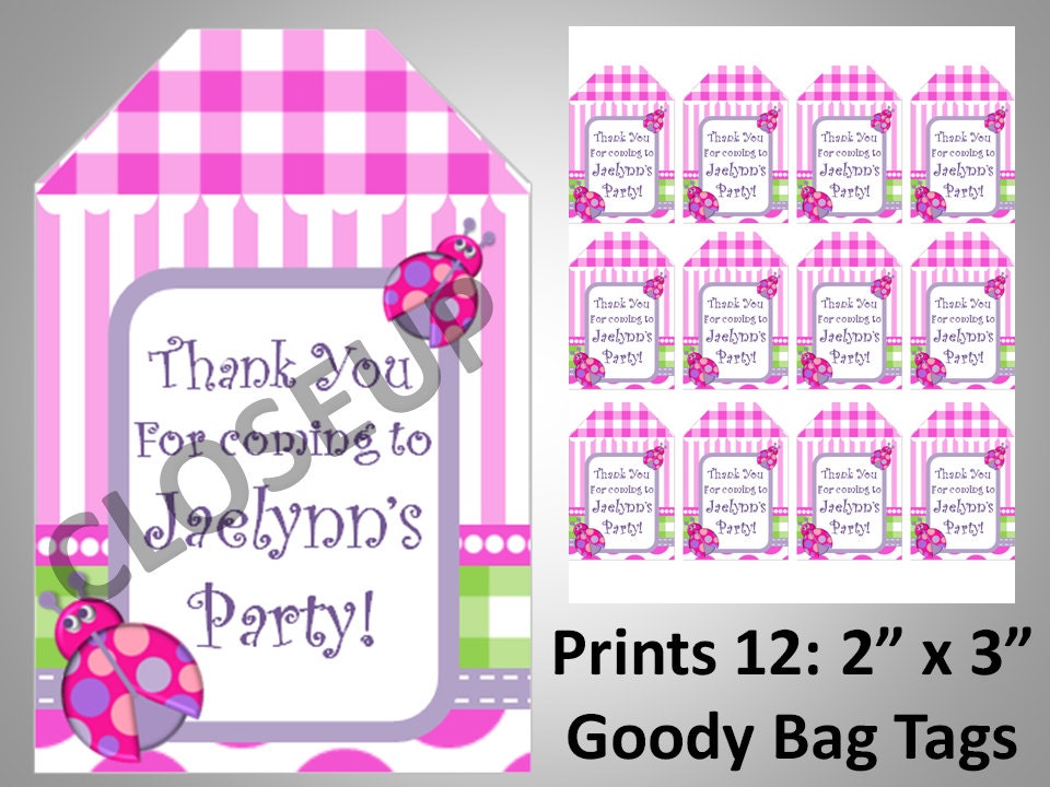 Favor Tags - Pink LadyBug - Personalized - DIY Printable Party Decorations Il_570xn