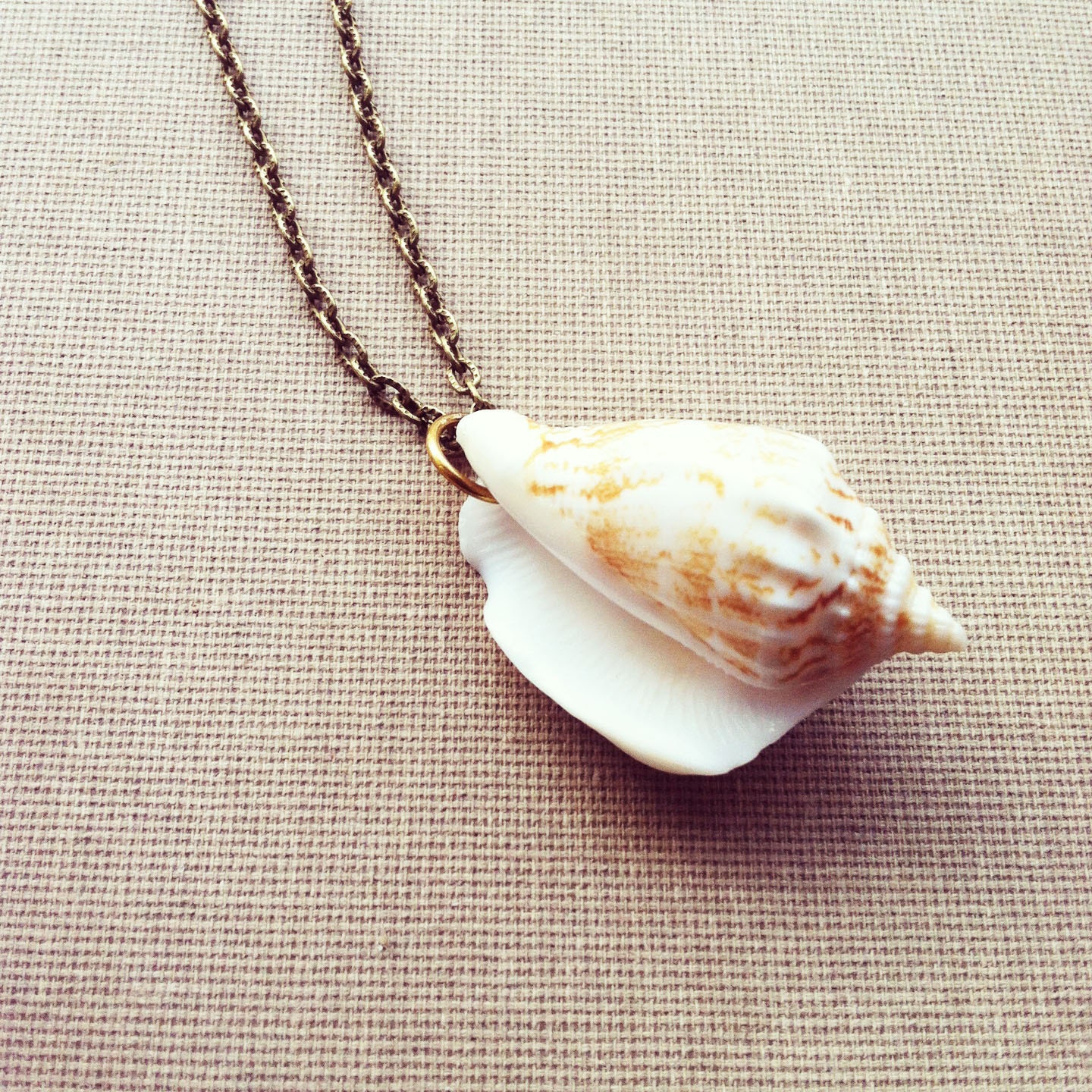 Seashell Necklace Real Shell Nautical Jewelry By Lowelowejewelry