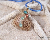 Shell Pendant, Hatteras Sea Shell, Wire Wrapped, Beach Jewelry