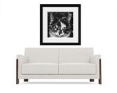 Pet Portrait Photo, Black and White Calico Cat, Fine Art Animal Photography, Print, Black, White, Gray
