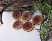 Five Juniper wood buttons. One hole.. 1 1/2" ( 38 mm ) diameter.