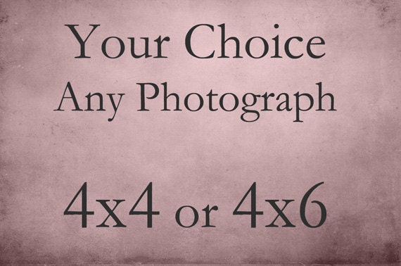 Any Photograph Printed at 4x4 or 4x6, Fine Art Photography, Home Decor, Wall Art, Nature, Flower, Landscape, Still life