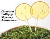 Gourmet Lollipop Mystery Assortment - Set of 7 - LARGE 2.5 Inch Lollipops