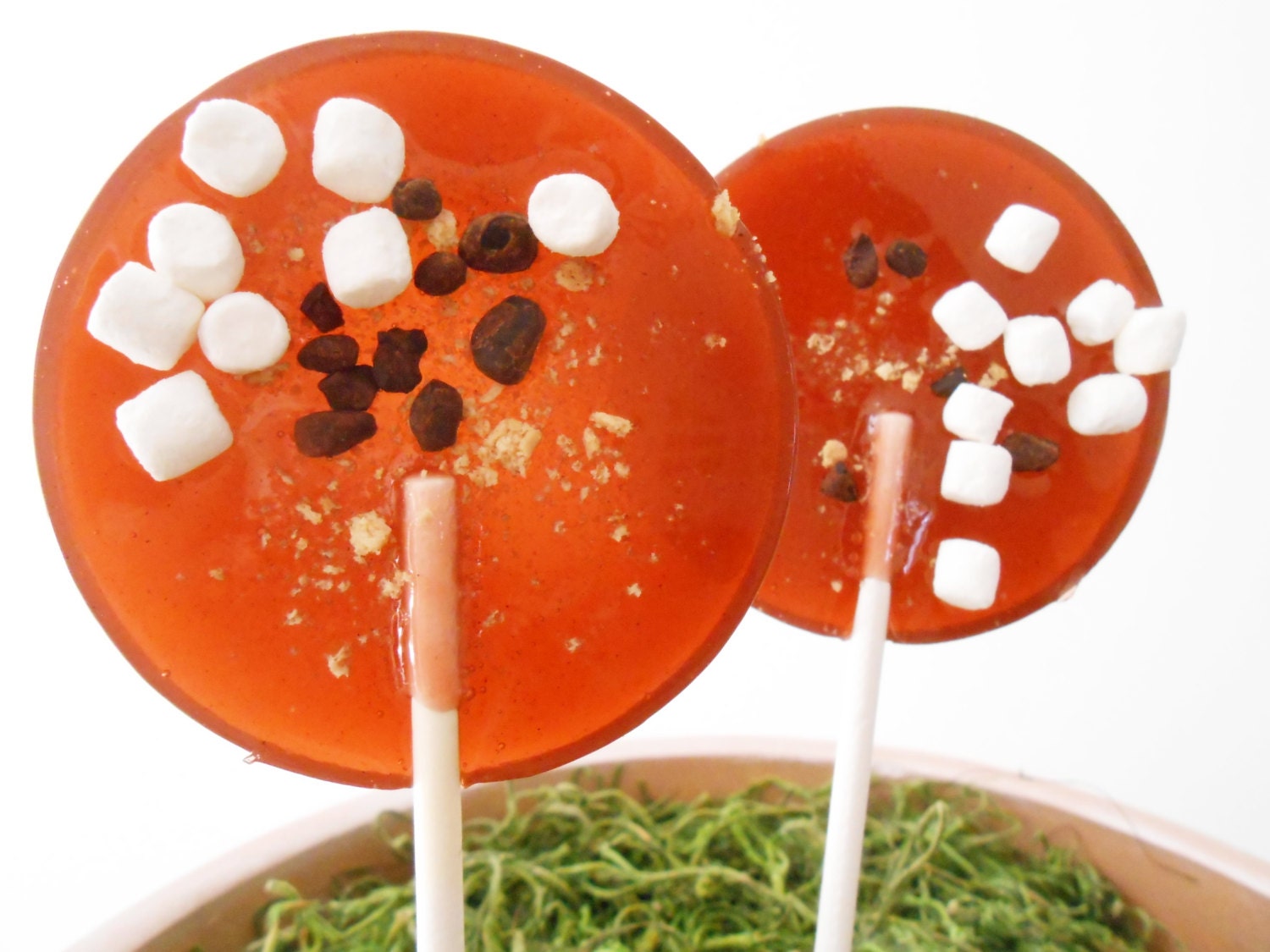 S'mores Gourmet Lollipops - Set of 7 - LARGE 2.5 Inch - Summer Theme - Summer Camp - LuxeLollies