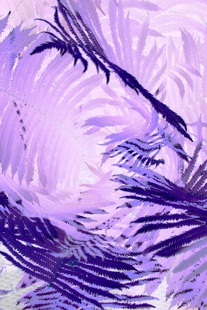Lost In The Purple Wilderness