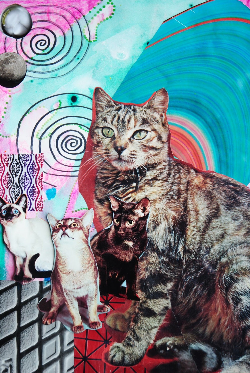 Cosmic Cats