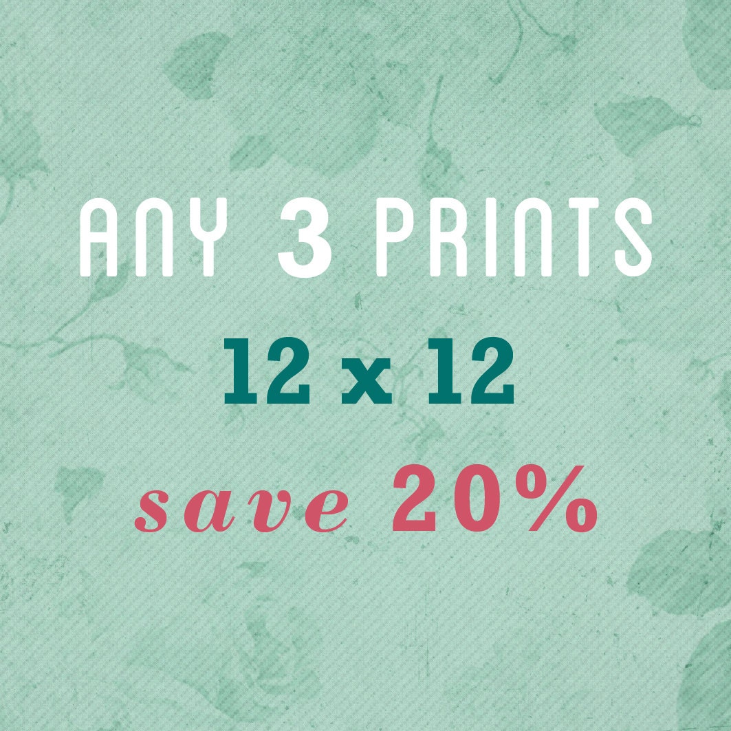 SALE - Any Three 12x12 30X30cm Prints save 20 percent