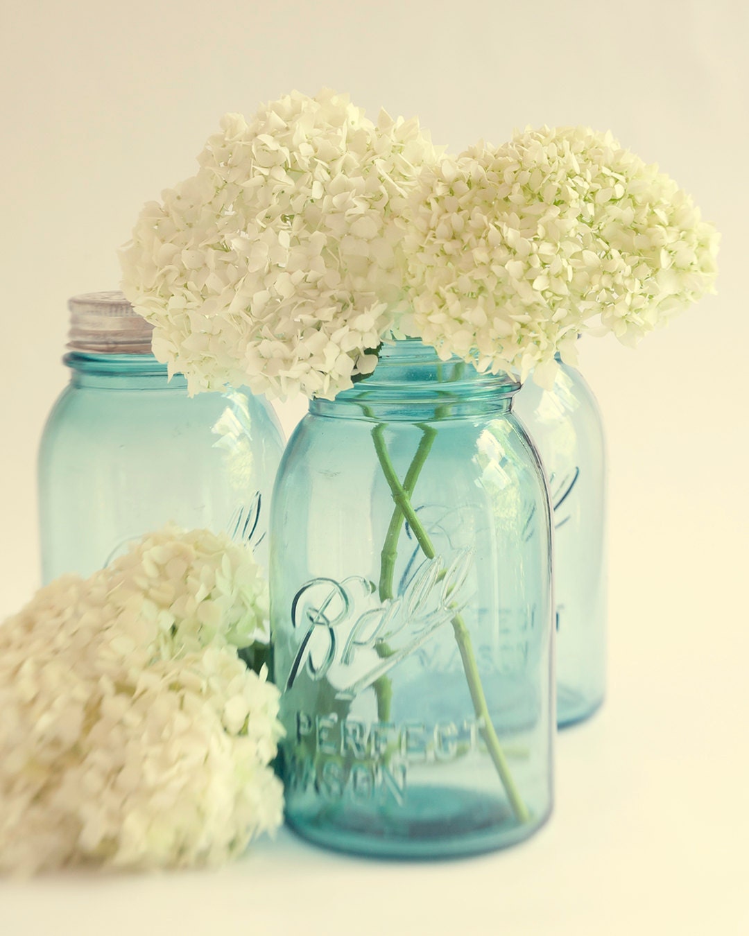 Dreamy Hydrangea Photograph - Home Decor - Warm - Vintage -  Wall Art - Mason Jars - Country