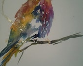 Rainbow Bird by Jessica Buhman, ORIGINAL watercolor and ink painting, bird sitting on branch 9 x 12