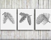 Rustic Home wall decor Nature print Woodland art Vintage pine cone illustrations Classic Black and white Pinecone wall hanging Log cabin