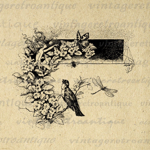 Printable Graphic Fairy Bird Butterfly Bee Spider and Dragonfly Download Digital Image Antique Clip Art HQ 300dpi No.3426
