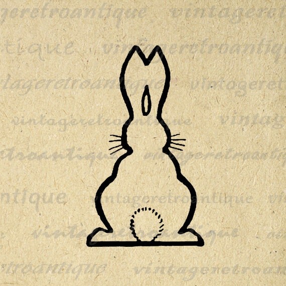 Digi Rabbit Field Utility