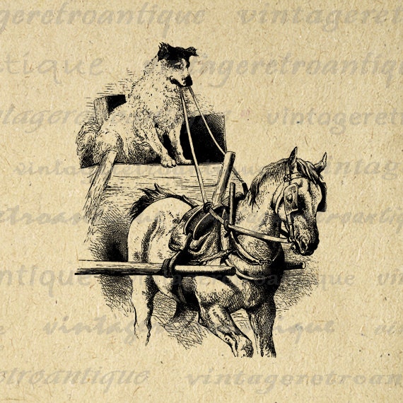 horse driving clipart - photo #3