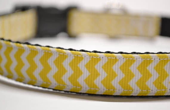 Personalized - Made to order - Dog collar with yellow chevron print.