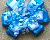 Bright Blue and White with Korkers - BowBravo