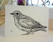 Eastern Bluebird Bird Ink Pen Drawing 5" X 7" Black & White