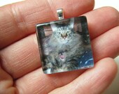 YOUR CUSTOM Order OOAK Pet Photo Memorial Cat Dog Recycled Material Glass Tile Pendant Necklace Memory Keepsake Celebration Heart Jewelry