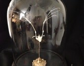 Articulated Bat Skeleton in glass dome...taxidermy oddities